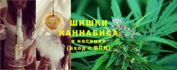 крисы Горно-Алтайск