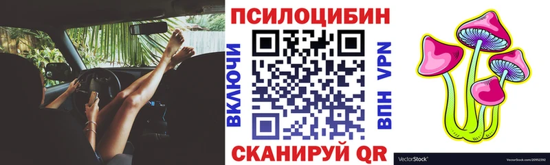 Псилоцибиновые грибы Cubensis  Купить  Лодейное Поле 