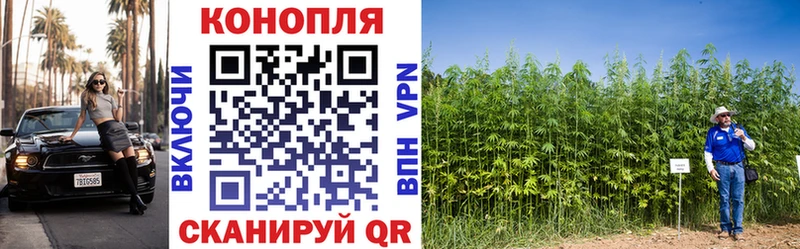 Шишки марихуана марихуана Лодейное Поле